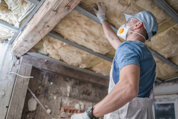 Best Insulation Maintenance and Repair in Albuquerque, NM